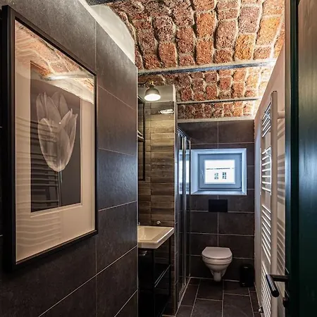 シャレー U Zidle Boží Dar